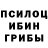 Псилоцибиновые грибы Psilocybe 5:48