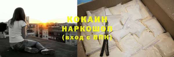 твердый Арсеньев
