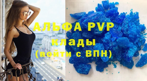 шишки Дмитриев