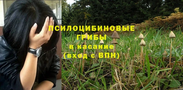 твердый Арсеньев