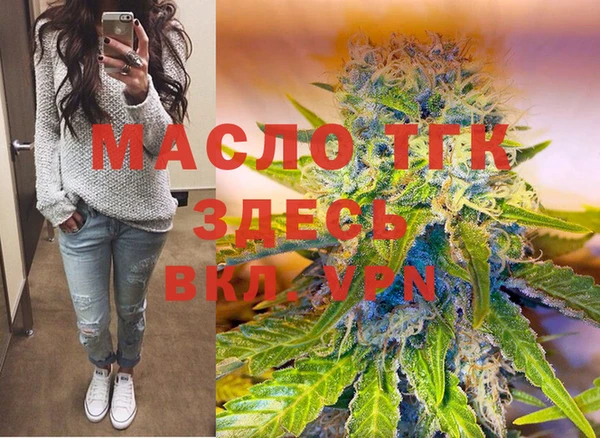 твердый Арсеньев